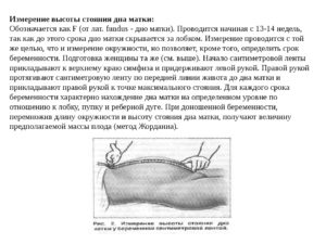 Как измерять высоту дна матки при беременности