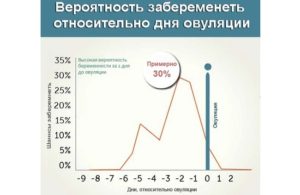 Па за два дня до овуляции вероятность зачатия