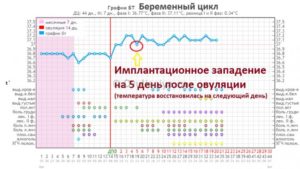 Может ли быть имплантационное западение на 4 день после овуляции