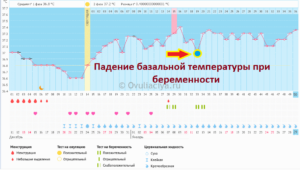 Базальная температура на 7 неделе беременности