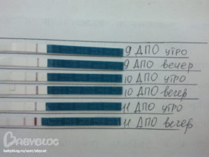 Покажет ли тест беременность 9 дпо