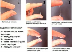 Желтые выделения после овуляции форум