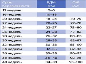 Вдм при беременности по неделям таблица окружность живота