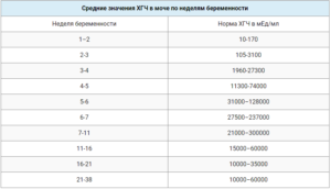 Как растет хгч на 6 неделе беременности
