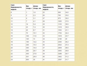 Размеры плода на 32 неделе беременности таблица