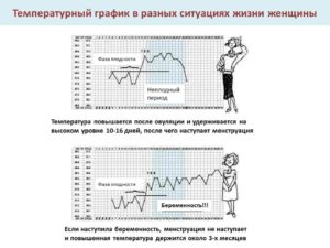 Сколько дней держится температура при беременности на ранних сроках