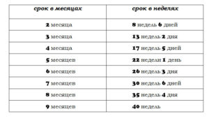 19 20 Недель беременности сколько месяцев