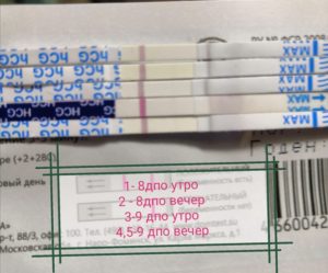 На 9 день после овуляции покажет ли тест беременность