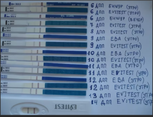 Когда можно делать тест на беременность после эко
