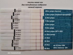 На 8 день после переноса эмбрионов тест отрицательный