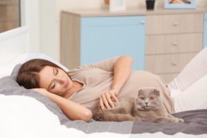 Чувствуют ли коты беременность женщины