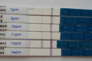 На 10 день после переноса эмбрионов тест отрицательный