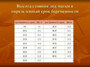 Высота дна матки не соответствует сроку беременности