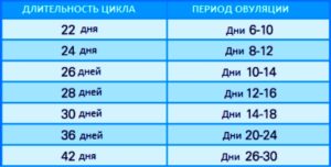 Если Менструационный Цикл 25 Дней Когда Овуляция