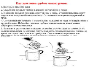 Как правильно расцедить грудное молоко после родов