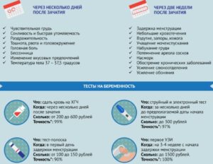 Через неделю после зачатия пришли месячные