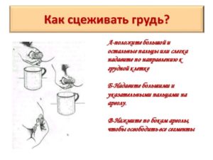 Как правильно расцедить грудное молоко после родов