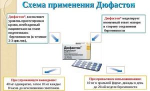 Дюфастон После Замершей Беременности При Дальнейшем Планировании