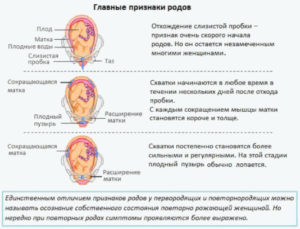 Отошла пробка на 38 неделе беременности