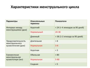 Сколько проходит дней между месячными