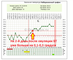 Температура после овуляции 37 и не опускается