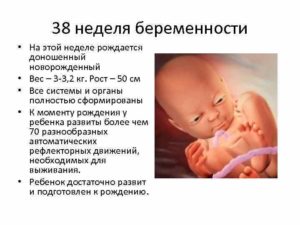 На 38 недели вес ребенка