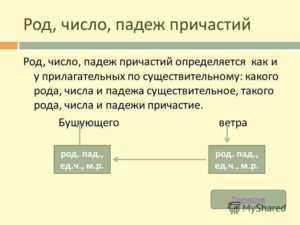 Можно ли определить род у причастий во множественном числе