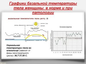 График базальной температуры составить онлайн