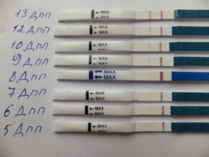 На какой день после переноса трехдневок тест показал беременность
