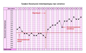 Сколько дней держится температура при беременности на ранних сроках