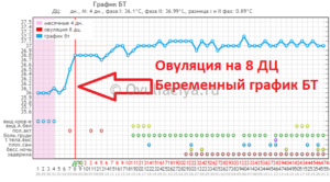 Может ли быть овуляция на 8 день цикла при 28 дневном цикле