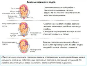 39 Недель отошла пробка вторые роды