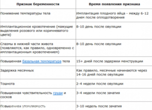 Беременность После Зачатия Через Сколько Дней