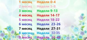 33 недели беременности это сколько месяцев беременности