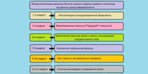 Покалывает Живот При Беременности На Ранних Сроках