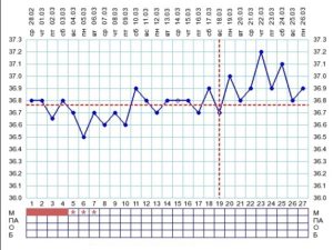 График бт при ановуляторном цикле