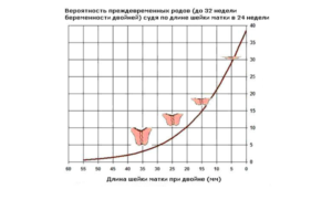 Шейка матки при беременности норма по неделям при двойне
