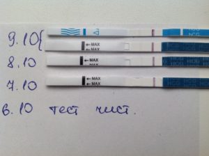 2 Недели после зачатия тест отрицательный