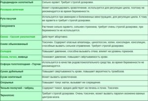 Можно ли пить ромашку при беременности на ранних сроках