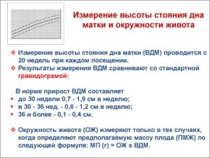 Как измерять высоту дна матки при беременности
