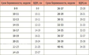 Вдм при беременности по неделям таблица окружность живота