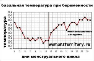 Какая температура во влагалище при беременности?