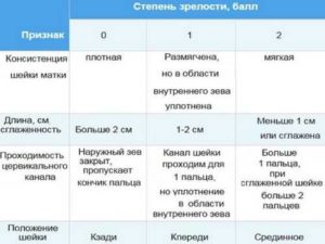 Что делать если пробка отошла на 35 неделе беременности