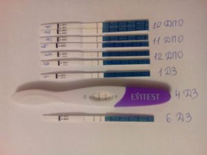 10 дпо тест отрицательный есть ли шанс на беременность