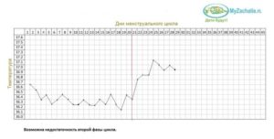 19 день цикла признаки беременности при 30 дневном цикле