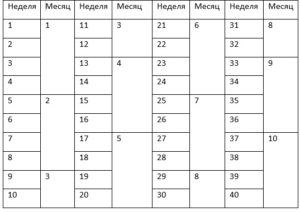 21 неделя это сколько месяцев беременности таблица