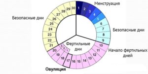 Может ли овуляция быть на 7 день после месячных