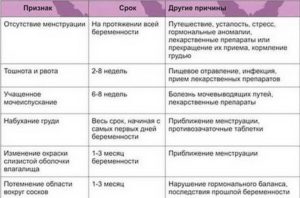 Может ли тянуть живот на ранних сроках беременности до задержки месячных