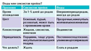 После того как отошли воды сколько есть времени