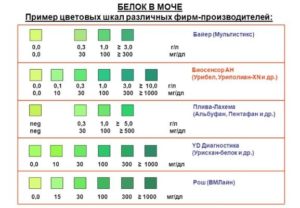 Белок и соли в моче при беременности